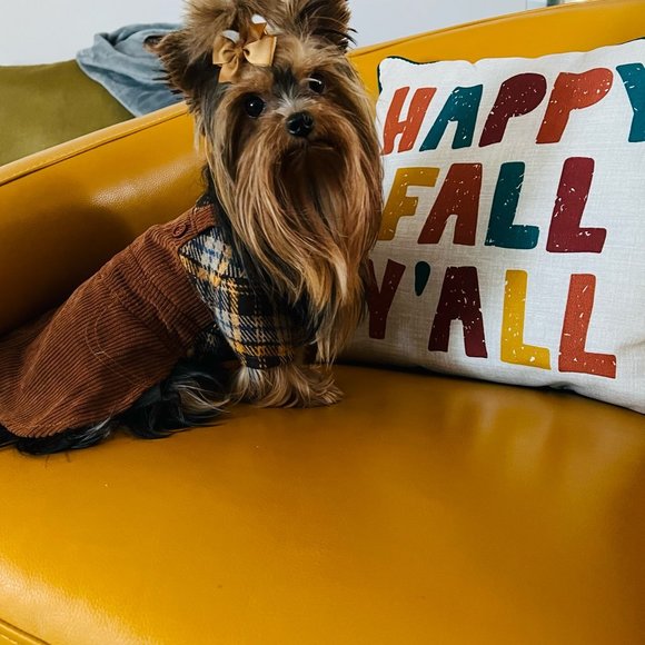 Pet Dress Dog or Cat Corduroy Brown xs ea. New w/ Tag! - Picture 4 of 8